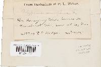 Image Associated With the Occurrence