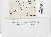 Image Associated With the Occurrence