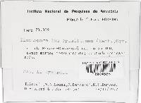 Image Associated With the Occurrence