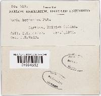 Image Associated With the Occurrence