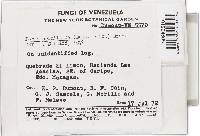 Image Associated With the Occurrence