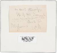 Podoscypha elegans image