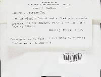 Thumbnail image of current specimen