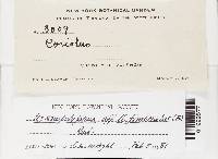 Image Associated With the Occurrence