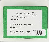 Trametes modesta image