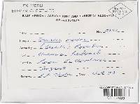 Trametes menziesii image