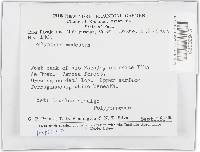 Trametes modesta image