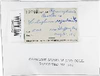 Image Associated With the Occurrence