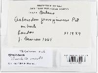 Image Associated With the Occurrence