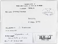 Image Associated With the Occurrence