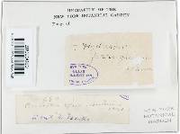 Image Associated With the Occurrence