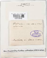 Image Associated With the Occurrence