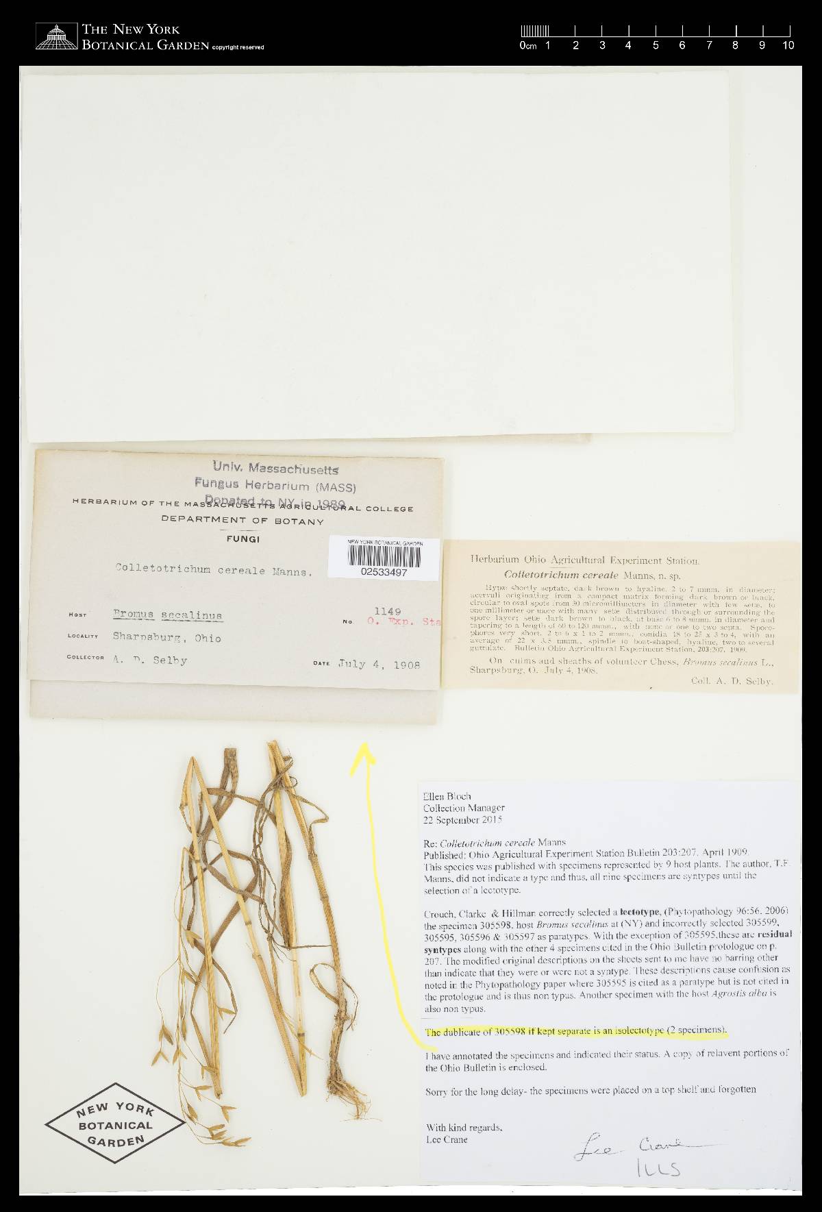 Glomerella graminicola image