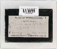 Image Associated With the Occurrence