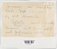 Image Associated With the Occurrence