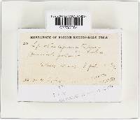 Image Associated With the Occurrence