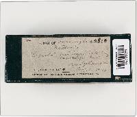 Image Associated With the Occurrence