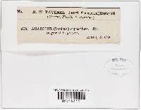 Image Associated With the Occurrence