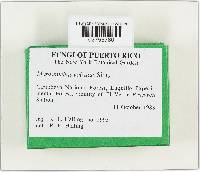 Thumbnail image of current specimen