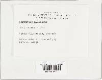 Image Associated With the Occurrence