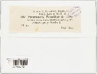 Image Associated With the Occurrence