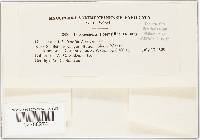 Image Associated With the Occurrence