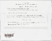 Image Associated With the Occurrence