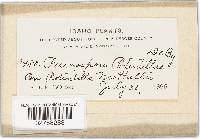 Image Associated With the Occurrence