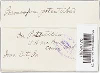 Image Associated With the Occurrence