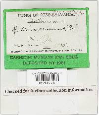 Image Associated With the Occurrence