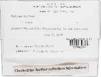 Image Associated With the Occurrence