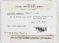 Image Associated With the Occurrence