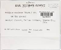 Image Associated With the Occurrence