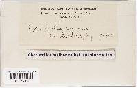 Image Associated With the Occurrence