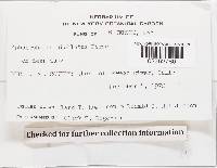 Sphaerobolus stellatus image