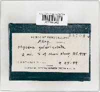 Image Associated With the Occurrence