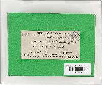 Image Associated With the Occurrence