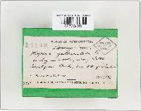 Image Associated With the Occurrence