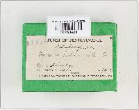 Image Associated With the Occurrence