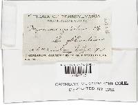 Thumbnail image of current specimen