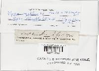 Thumbnail image of current specimen