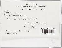 Image Associated With the Occurrence