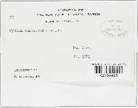 Image Associated With the Occurrence