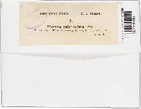 Image Associated With the Occurrence