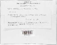 Image Associated With the Occurrence