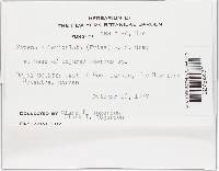 Image Associated With the Occurrence