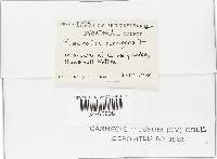 Image Associated With the Occurrence