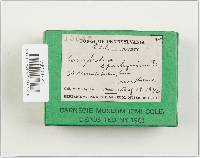 Image Associated With the Occurrence