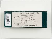 Image Associated With the Occurrence