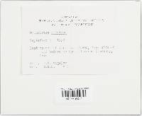 Image Associated With the Occurrence